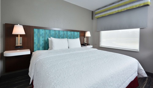 Habitación, 1 cama de matrimonio grande, accesible para personas con discapacidad (Roll-In Shower)