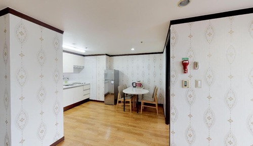 DOGO 30 Family Suite