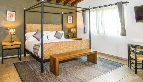Suite junior, 1 cama de matrimonio con sofá cama