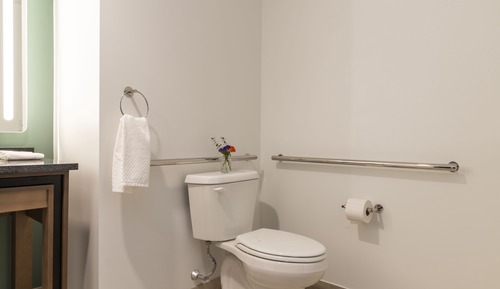 Habitación, 1 cama de matrimonio grande (Mobility & Hearing, Roll-In Shower)