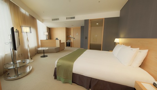 Suite, 1 cama de matrimonio grande (Korea Theme)