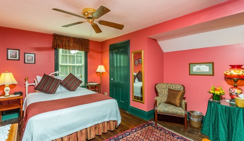 Habitación estándar, 1 cama de matrimonio (Shower Only)