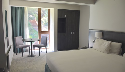 Habitación doble superior, 1 cama de matrimonio grande