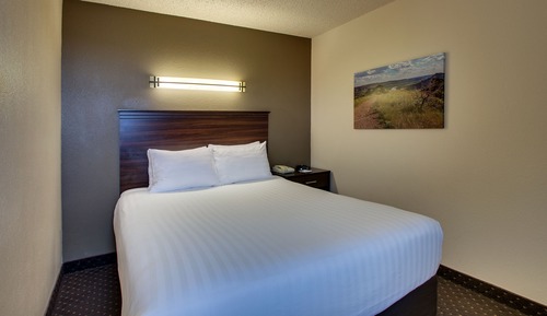 Habitación estándar, 1 cama de matrimonio (ECONOMY QUEEN)