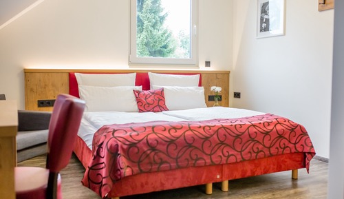 Habitación doble superior, en edificio anexo