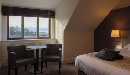 Habitación Deluxe con 1 cama doble o 2 individuales, 1 habitación