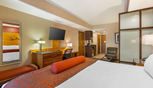 Habitación estándar, 1 cama de matrimonio grande, no fumadores (with Sofabed)