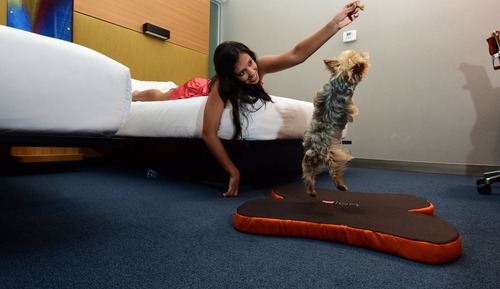 aloft, Habitación, 2 camas dobles, no fumadores