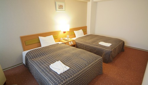 Habitación Deluxe con 2 camas individuales, fumadores