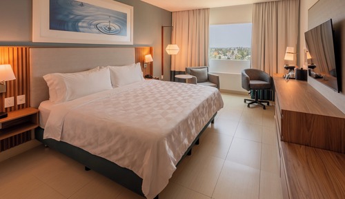 Habitación estándar, 1 cama de matrimonio grande