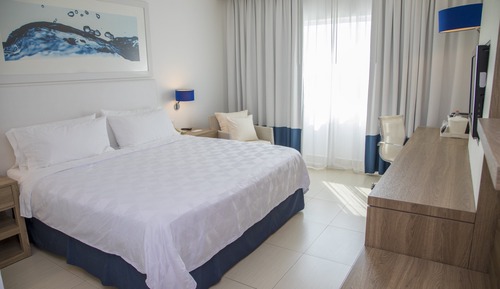 Habitación estándar, 1 cama de matrimonio grande (Top Floor)