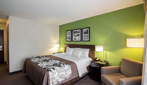 Habitación, 1 cama de matrimonio grande, accesible para personas con discapacidad, no fumadores