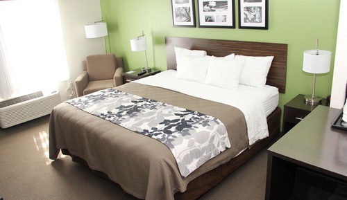 Habitación estándar, 1 cama de matrimonio grande