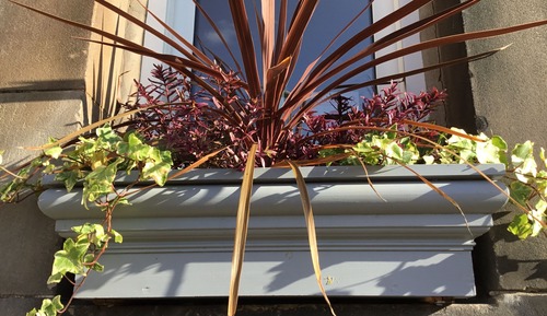 Habitación con 2 camas individuales, baño privado