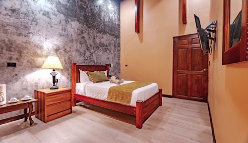 Habitación estándar (1 Queen Bed)