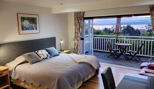 Habitación Deluxe con 1 cama doble o 2 individuales