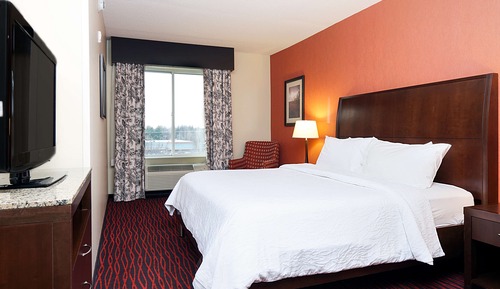 Evolution, Suite, 1 habitación