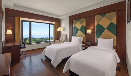 Habitación ejecutiva, 2 camas individuales