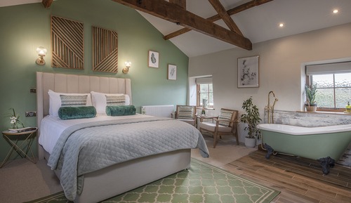 Suite Deluxe, baño privado, vistas al jardín (Junior Suite)