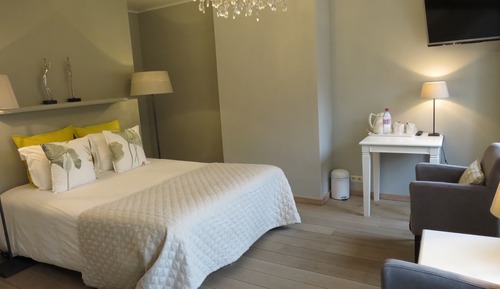 Habitación Confort doble, vistas al jardín