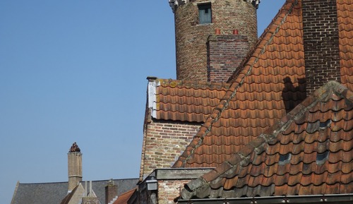 Habitación Confort con 1 cama doble o 2 individuales, vistas al jardín