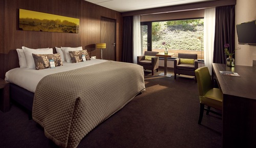 Habitación Deluxe doble