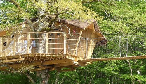 Casa en un árbol (4 people)