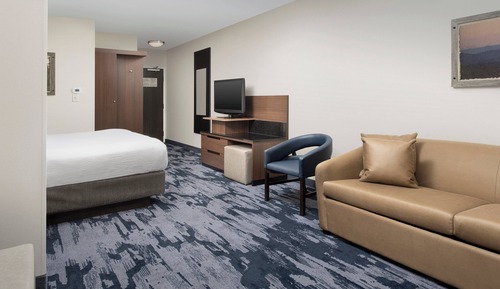 Estudio, 1 cama de matrimonio grande con sofá cama (Mobility Accessible, Roll-in Shower)