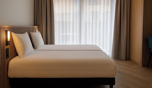 Habitación Deluxe con 2 camas individuales