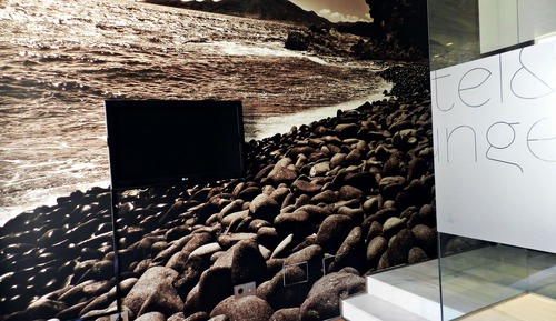 Habitación básica doble de uso individual