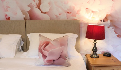 Habitación con 1 cama doble o 2 individuales, baño privado