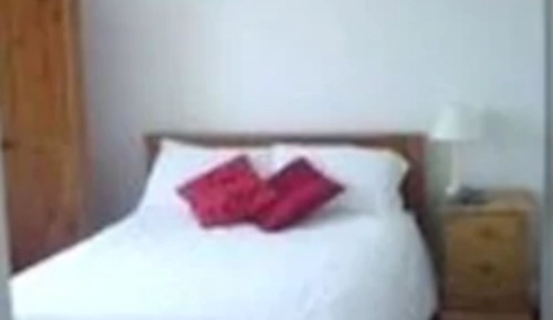 Habitación individual Confort