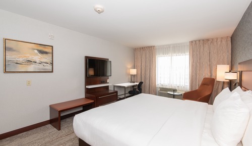 Habitación estándar, 1 cama de matrimonio, accesible para personas con discapacidad, no fumadores