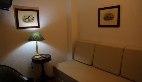 Habitación estándar con 1 cama doble o 2 individuales (Single Use )