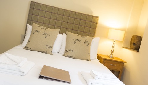 Habitación individual, 1 cama individual, baño privado