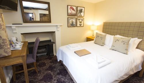 Habitación familiar, baño privado