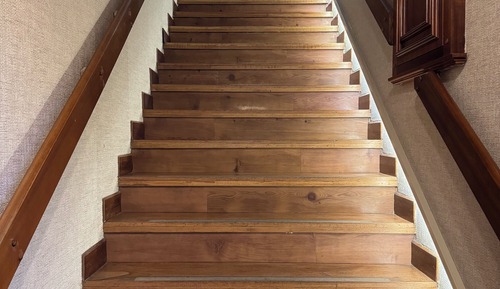 Quarto Tematico Bosque