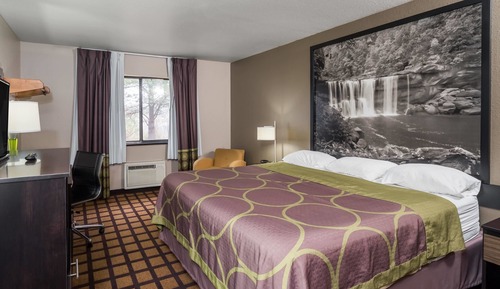 Habitación estándar, 1 cama de matrimonio grande