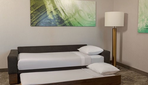 Suite, varias camas (Mobility/Hearing Access, Roll-In Shwr)