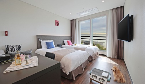 Premier Twin Pet Room, Park Ocean View/Terrace (Pet Room, Dog Only)