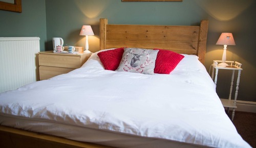 Habitación doble, baño privado (2)