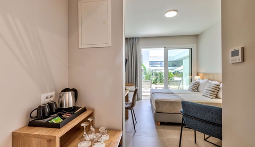 Habitación estándar doble (Swim Up Room)