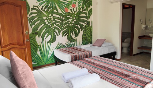 Habitación estándar, vistas al jardín