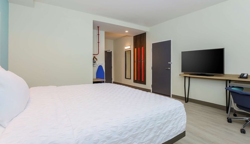 Habitación, 1 cama de matrimonio grande (Hearing, Roll-in Shower)