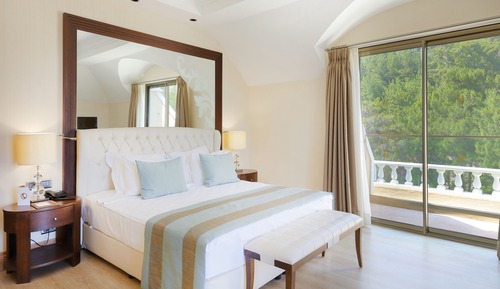 Habitación Deluxe con 1 cama doble o 2 individuales, vistas a la montaña