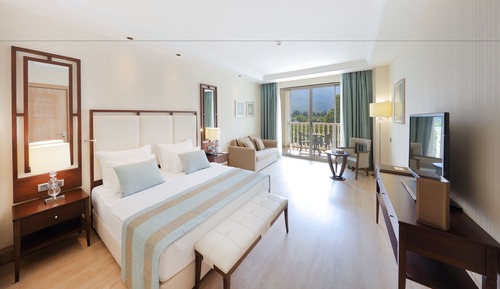 Habitación Deluxe doble, vistas a la montaña (Large )