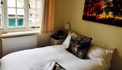 Habitación básica, vistas al jardín