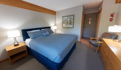 Habitación estándar, 1 cama de matrimonio grande