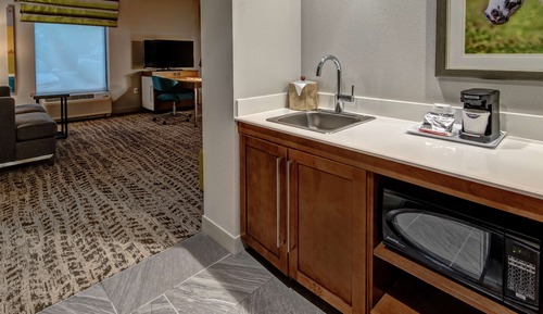 Suite, 1 cama de matrimonio grande (Mobility & Hearing, Roll-in Shower)