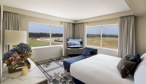 Suite ejecutiva, 1 cama de matrimonio grande